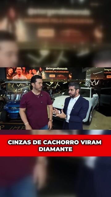 CINZAS DE CACHORRO VIRAM DIAMANTE