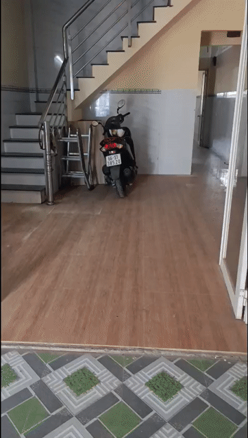 Cho thuê Văn phòng, Mặt bằng kinh doanh Quận 8 Tp Hồ Chí Minh diện tích 48 m² giá 7,5 triệu/tháng