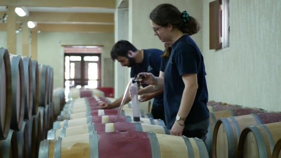 Le lycée du Vin ("la cité du Vin")