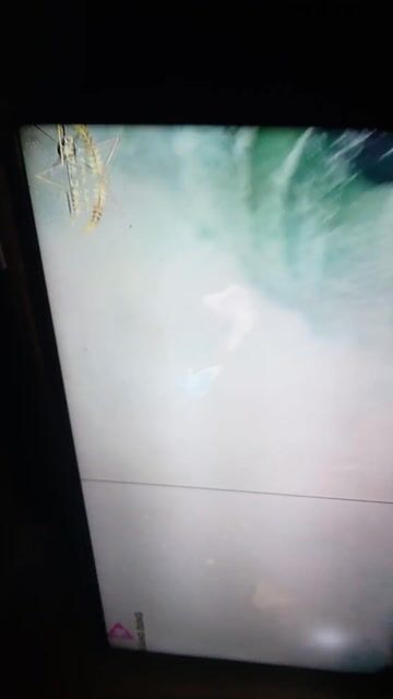 tivi toshiba 32 bị chỉ giữa. Mua bán Tivi, Âm thanh tại Huyện Bến Lức Long An được đăng bởi minh lòng  hình 1