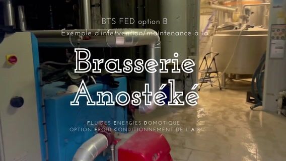 Découverte de la branche F.E.D autour d'une bière.