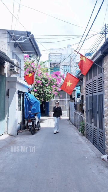 Mua bán Nhà ở Quận 8 Tp Hồ Chí Minh diện tích 24 m² giá 2,38 tỷ