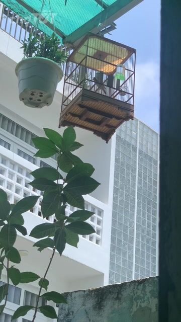 bộ khoen líu để bàn giao lưu. Mua bán Chim tại Quận 4 Tp Hồ Chí Minh được đăng bởi Lâm Ngọc hình 1