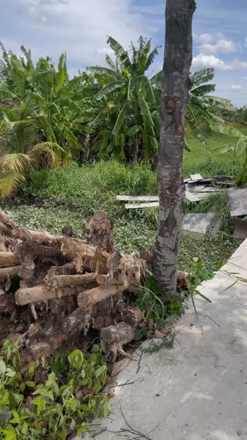 Mua bán Đất Thành phố Tân An Long An diện tích 150 m² giá 1,6 tỷ