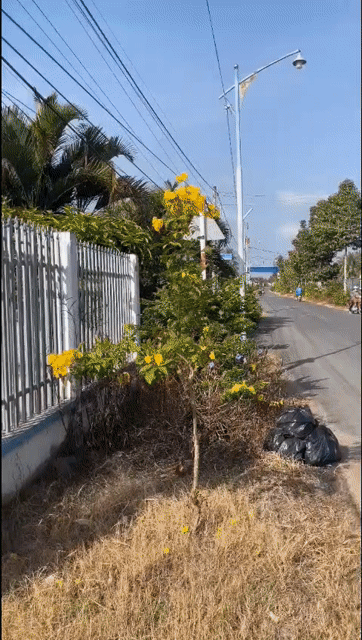 Mua bán Nhà ở Huyện Gò Công Tây Tiền Giang diện tích 750 m² giá 2,3 tỷ
