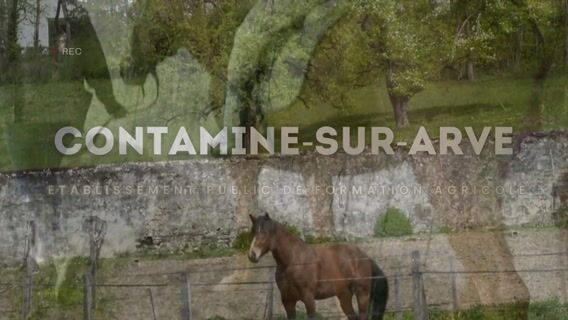 Animateur d'équitation - Contamine-sur-Arve