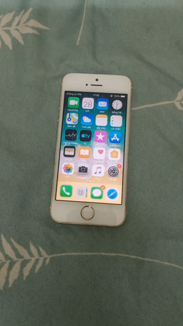 Apple iPhone 5S Vàng Hỏng cam sau. Mua bán Điện thoại tại Quận Thanh Xuân Hà Nội được đăng bởi Đồ Cũ  hình 1