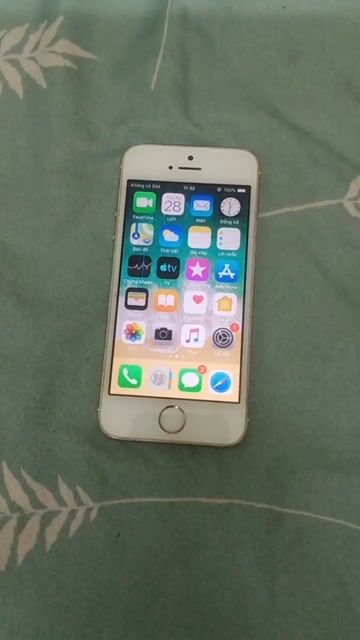 Apple iPhone 5S Vàng Hỏng cam sau. Mua bán Điện thoại tại Quận Thanh Xuân Hà Nội được đăng bởi Đồ Cũ  hình 1