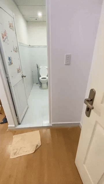 Cho thuê Căn hộ Chung cư Lê Thành Tân Tạo Quận Bình Tân Tp Hồ Chí Minh diện tích 37 m² giá 4,5 triệu/tháng
