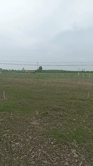 Mua bán Đất Huyện Dương Minh Châu Tây Ninh diện tích 144.8 m² giá 500 triệu