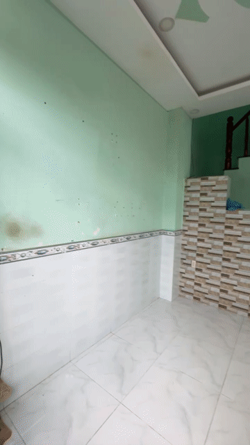 Cho thuê Nhà ở Huyện Cần Giuộc Long An diện tích 31.2 m² giá 3 triệu/tháng