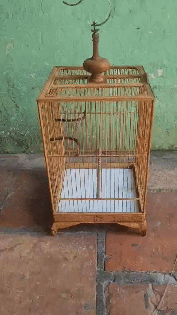 Lồng chim tre vuông 25/35 chim nhỏ. Mua bán Phụ kiện, Thức ăn, Dịch vụ tại Quận Tân Phú Tp Hồ Chí Minh được đăng bởi tran kien hình 1