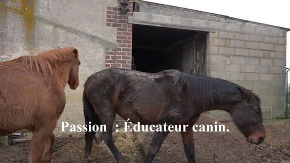 Passion : éducateur canin