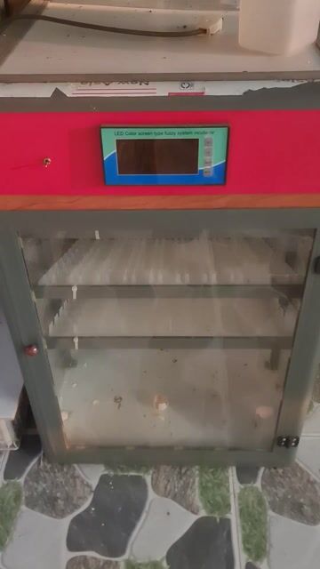 Máy ấp trứng 300 trứng Còn mới. Mua bán Đồ chuyên dụng, Giống nuôi trồng tại Huyện Tịnh Biên An Giang được đăng bởi Gà Nòi 67 hình 1