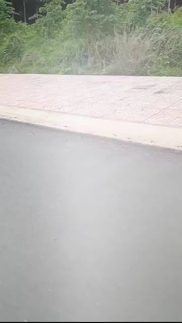 Xe điện bánh béo. Mua bán Xe điện tại Huyện Bù Đốp Bình Phước được đăng bởi Văn Chiến hình 1