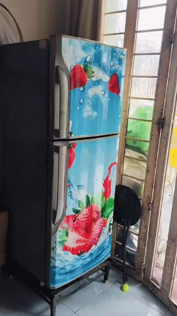 Thanh lý tủ lạnh nhà dùng Samsung 220L. Mua bán Tủ lạnh tại Thành phố Thủ Đức Tp Hồ Chí Minh được đăng bởi Cold hình 1