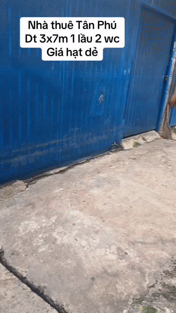 Cho thuê Nhà ở Quận Tân Phú Tp Hồ Chí Minh diện tích 21 m² giá 4,5 triệu/tháng