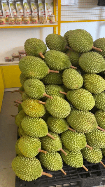 Sầu riêng Musang King Vỏ xanh ruột vàng. Mua bán Đồ ăn, thực phẩm và các loại khác tại Quận 1 Tp Hồ Chí Minh được đăng bởi Tin Do hình 1