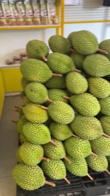 Sầu riêng Musang King Vỏ xanh ruột vàng. Mua bán Đồ ăn, thực phẩm và các loại khác tại Quận 1 Tp Hồ Chí Minh được đăng bởi Tin Do hình 1