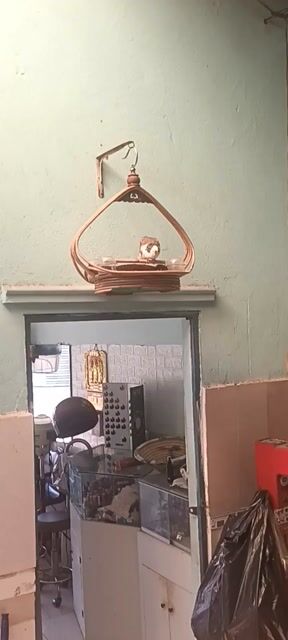 Chim  khách  chim cảnh. Mua bán Chim tại Huyện Nhà Bè Tp Hồ Chí Minh được đăng bởi A Trọng hình 1