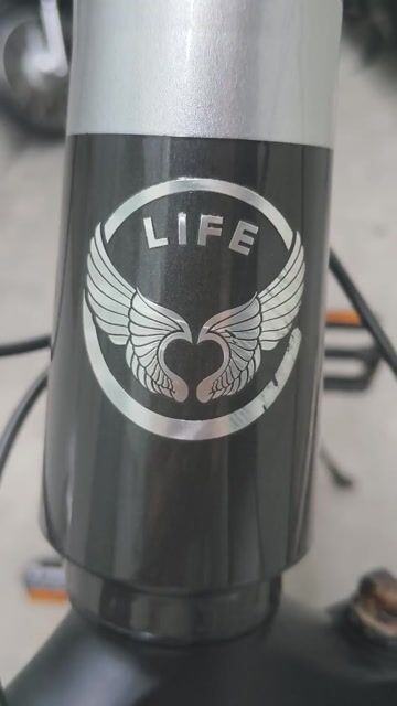 Xe đạp địa hình LIFE Red 2 phuộc. Mua bán Xe đạp tại Quận 7 Tp Hồ Chí Minh được đăng bởi Kyo Chen hình 1