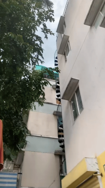 Mua bán Nhà ở Quận 1 Tp Hồ Chí Minh diện tích 48 m² giá 15,5 tỷ