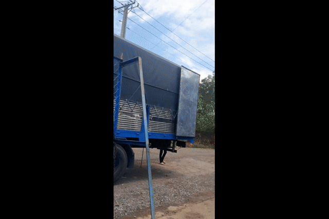 Pallet nhựa kê hàng sản xuất. Mua bán Đồ chuyên dụng, Giống nuôi trồng tại Huyện Long Thành Đồng Nai được đăng bởi Liên hình 1