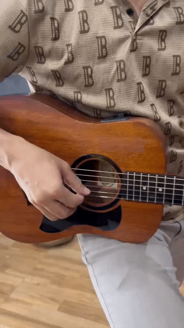 Đàn guitar Taylor BT2 kèm EQ Fishman. Mua bán Nhạc cụ tại Thành phố Thủ Đức Tp Hồ Chí Minh được đăng bởi  Trung hình 1