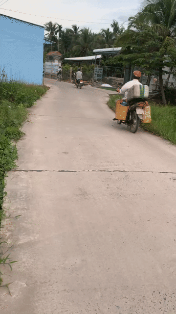 Cho thuê Đất Huyện Châu Thành Bến Tre diện tích 2600 m² giá 10 triệu/tháng