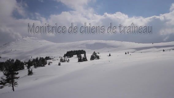 Monitrice de chiens de traîneau