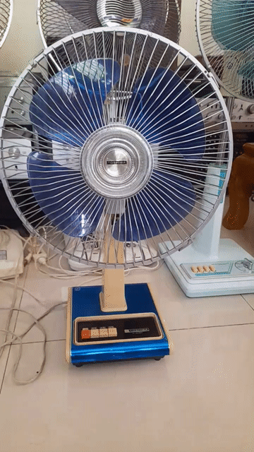 Quạt bàn Toshiba  cánh  30cm điện 100V hàng Nhật. Mua bán Quạt tại Huyện An Lão Hải Phòng được đăng bởi MẠNH CƯỜNG hình 1