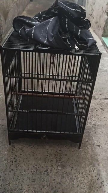 Lồng chim vuông màu đen. Mua bán Phụ kiện, Thức ăn, Dịch vụ tại Quận 12 Tp Hồ Chí Minh được đăng bởi Khổng tước  hình 1