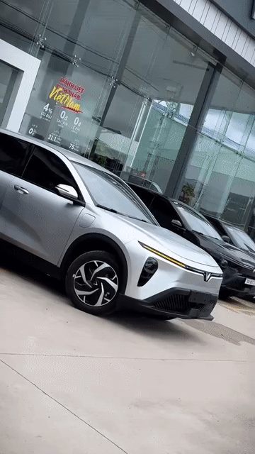LIMO GREEN - HỖ TRỢ GIAO XE NHANH. Mua bán Ô tô tại Thành phố Thủ Đức Tp Hồ Chí Minh được đăng bởi HẰNG NI VINFAST THỦ ĐỨC hình 1