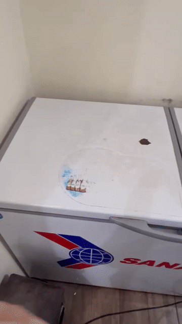 Tủ đông Sanaky 260L Inverter Trắng cũ. Mua bán Tủ lạnh tại Quận Thanh Xuân Hà Nội được đăng bởi Hong Nhung hình 1