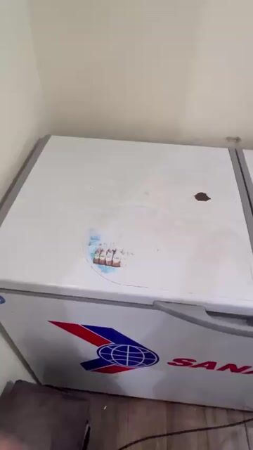 Tủ đông Sanaky 260L Inverter Trắng cũ. Mua bán Tủ lạnh tại Quận Thanh Xuân Hà Nội được đăng bởi Hong Nhung hình 1