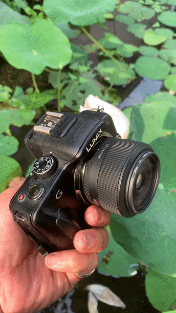 Máy ảnh Panasonic Lumix G3 Đen. Mua bán Máy ảnh, Máy quay tại Huyện Củ Chi Tp Hồ Chí Minh được đăng bởi Tuấn hình 1