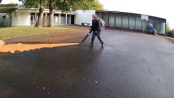 CAP Jardinier Paysagiste