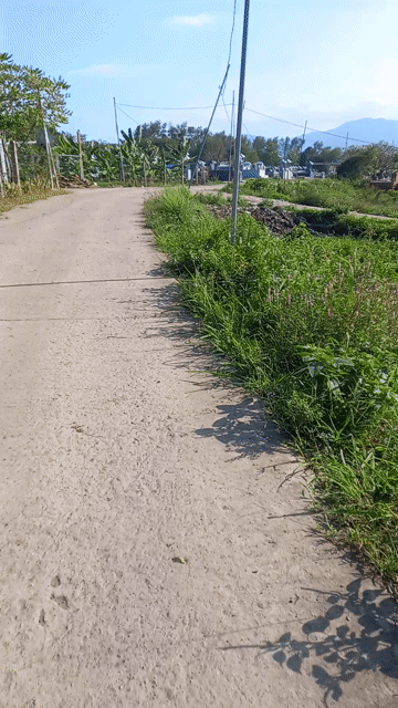 Mua bán Đất Huyện Diên Khánh Khánh Hòa diện tích 6000 m² giá 1,3 tỷ