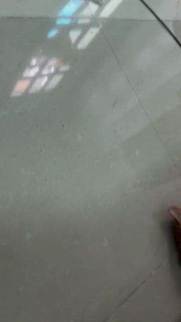 Mèo cái 8 tháng đủ 4 mũi và tất cả đồ dùng. Mua bán Mèo tại Quận 8 Tp Hồ Chí Minh được đăng bởi Ngân Tuyết hình 1