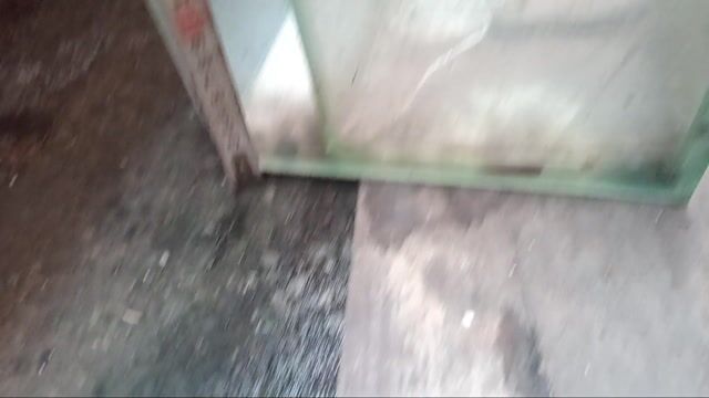 Hồ cá kính cong có lọc đã dùng. Mua bán Phụ kiện, Thức ăn, Dịch vụ tại Thành phố Thủ Dầu Một Bình Dương được đăng bởi Cay và Đắng hình 1