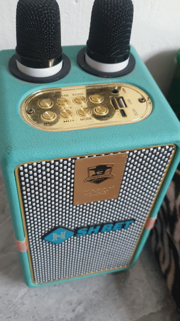 Loa karaoke Zoppo Xanh ngọc. Mua bán Tivi, Âm thanh tại Quận Thanh Xuân Hà Nội được đăng bởi phan ngọc Dũng hình 1