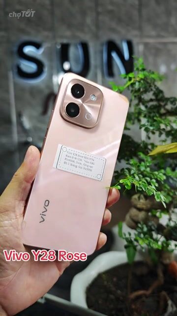 Vivo Y28 Rose R8+256 Pin6000 2sim zin trầy. Mua bán Điện thoại tại Huyện Trảng Bàng Tây Ninh được đăng bởi Sun Mobile Shop Điện Thoại Trảng Bàng Tây Ninh 01 hình 1