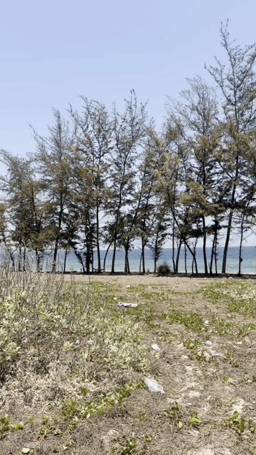 Mua bán Đất Huyện Bắc Bình Bình Thuận diện tích 30000 m² giá 2 tỷ