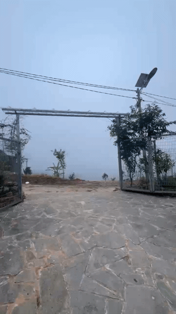 Mua bán Nhà ở Thành phố Đà Lạt Lâm Đồng diện tích 1000 m² giá 2,9 tỷ