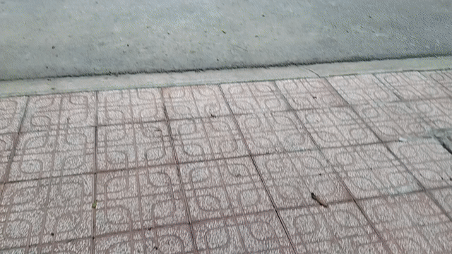 Mua bán Nhà ở Thành phố Thuận An Bình Dương diện tích 65 m² giá 4,095 tỷ