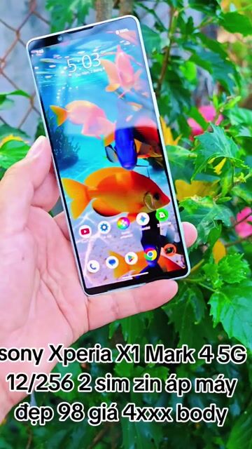 Sony Xperia X1 Mark 4 5G 12/256 2 sim zin áp. Mua bán Điện thoại tại Thành phố Mỹ Tho Tiền Giang được đăng bởi LH Max Dilys hình 1