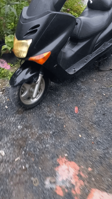 Yamaha Majesty 125 Đen. Mua bán Xe máy tại Thành phố Bến Tre Bến Tre được đăng bởi Đoàn Hồng Sơn hình 1