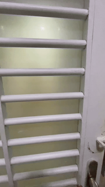 Cho thuê Căn hộ Chung cư Quận 6 Tp Hồ Chí Minh diện tích 30 m² giá 4 triệu/tháng