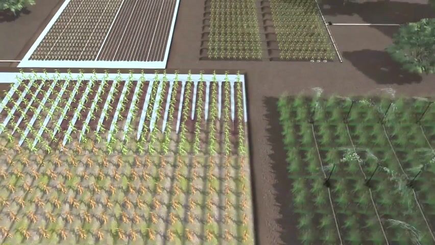 Agriculture & Animal Farming