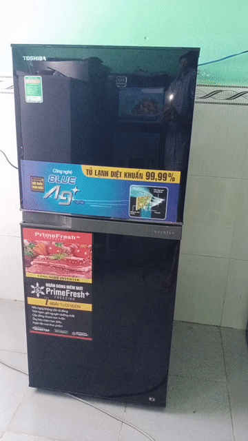 Tủ lạnh Toshiba Inverter 180L   siêu mới, zin 100%. Mua bán Tủ lạnh tại Thành phố Thủ Dầu Một Bình Dương được đăng bởi pham van truong hình 1